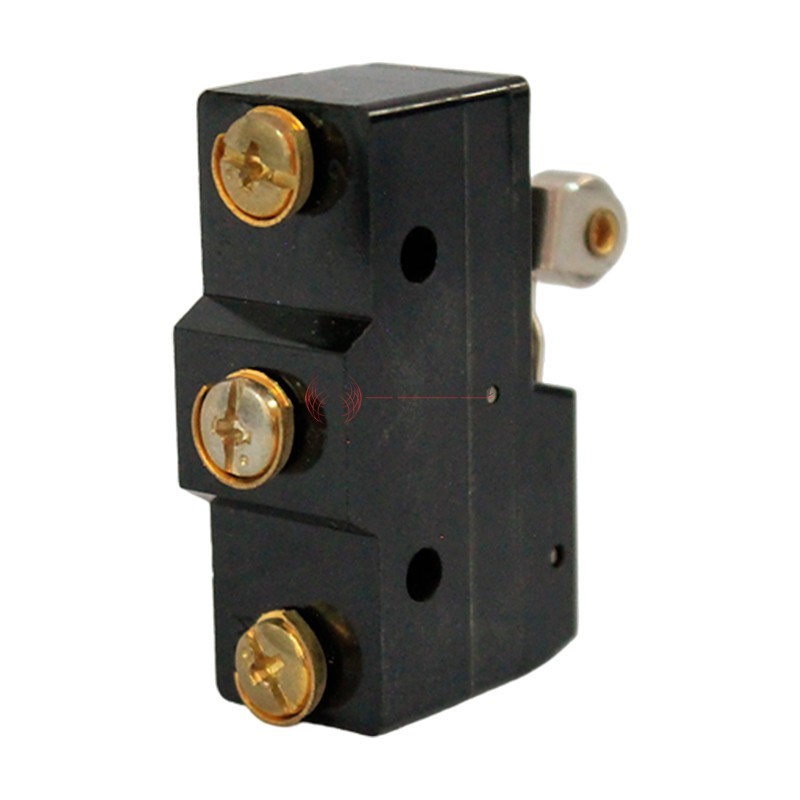 Microinterruptor